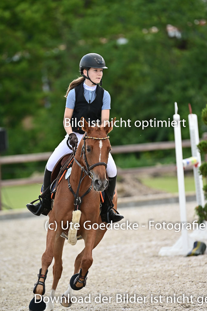 Klein Offenseth  - Hengststation Hell | 26072025 Spring WB  _092 