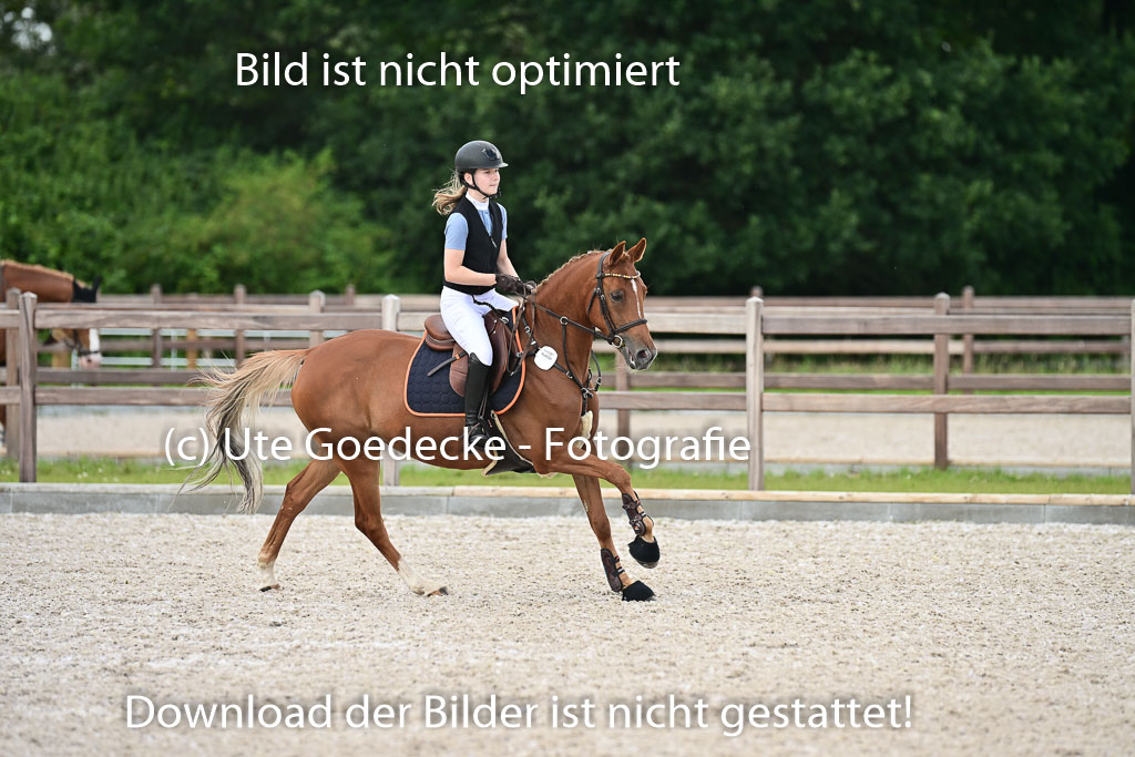 Klein Offenseth  - Hengststation Hell | 26072025 Spring WB  _094 