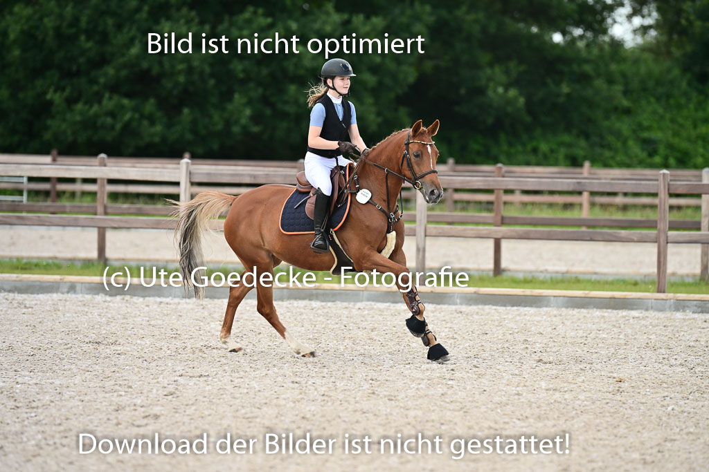 Klein Offenseth  - Hengststation Hell | 26072025 Spring WB  _095 