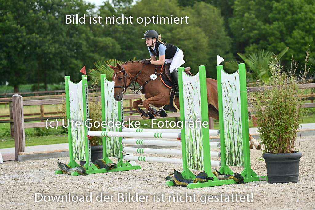 Klein Offenseth  - Hengststation Hell | 26072025 Spring WB  _097 