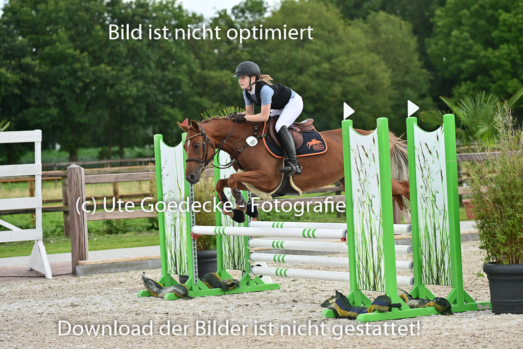 Klein Offenseth  - Hengststation Hell | 26072025 Spring WB  _098 