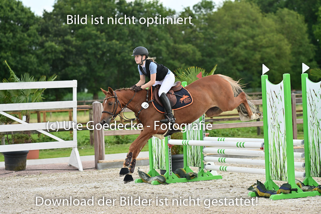 Klein Offenseth  - Hengststation Hell | 26072025 Spring WB  _099 