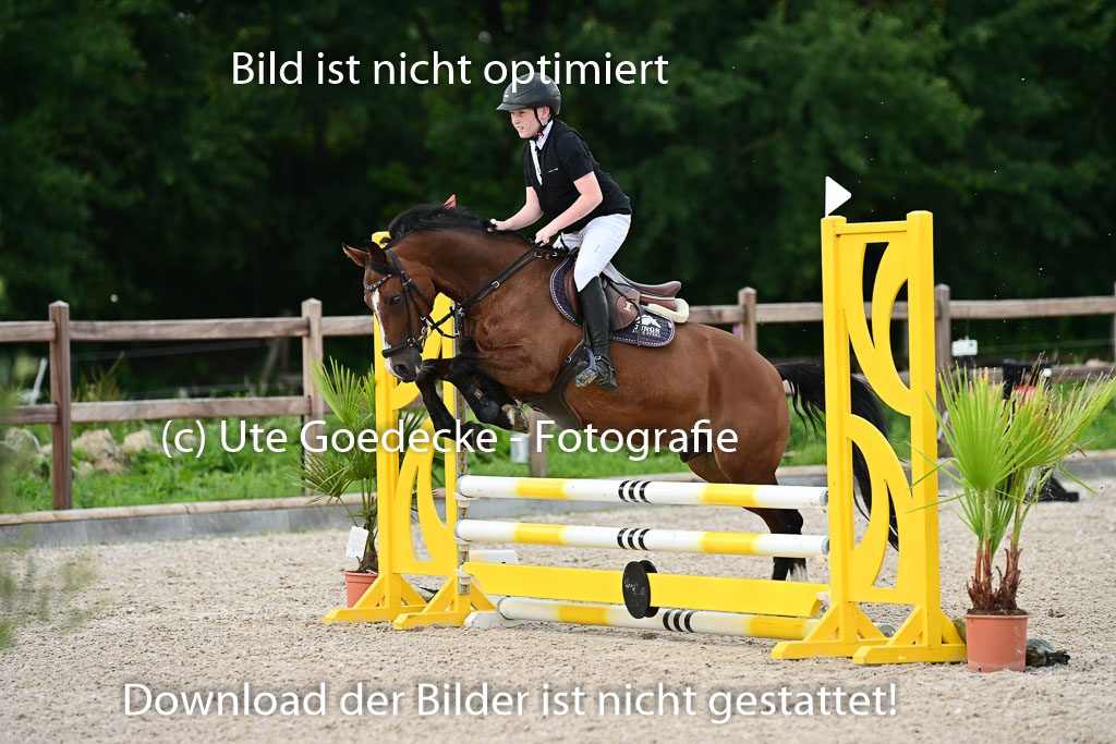 Klein Offenseth  - Hengststation Hell | 26072025 Spring WB  _101 