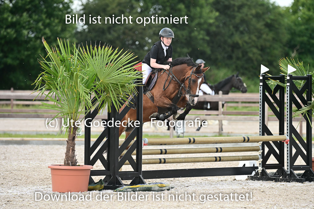 Klein Offenseth - Hengststation Hell | 26072025 Spring WB _104