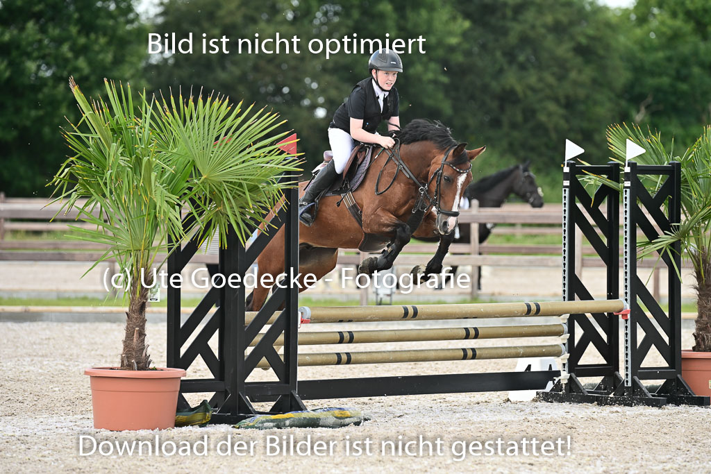 Klein Offenseth  - Hengststation Hell | 26072025 Spring WB  _105 