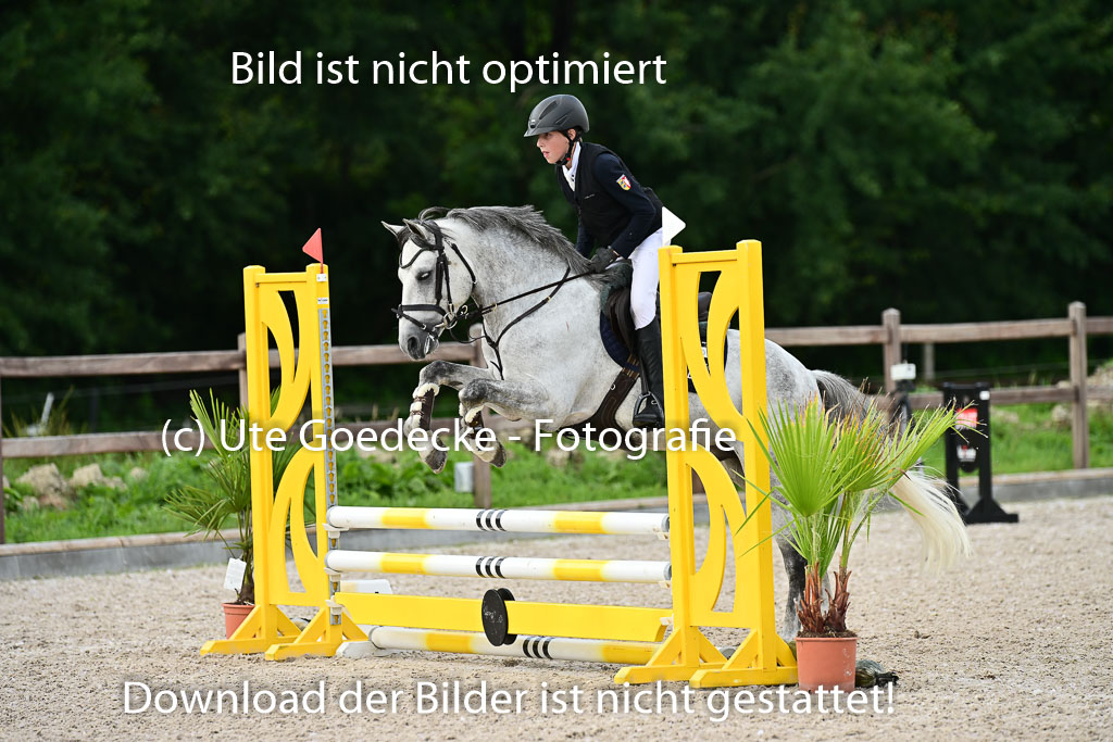 Klein Offenseth  - Hengststation Hell | 26072025 Spring WB  _113 