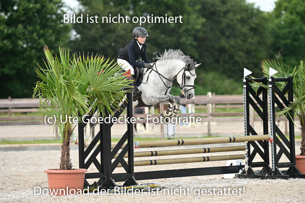 Klein Offenseth  - Hengststation Hell | 26072025 Spring WB  _117 