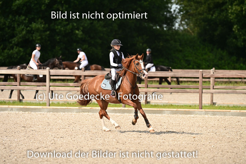 Klein Offenseth  - Hengststation Hell | 26072025 Spring WB  _131 