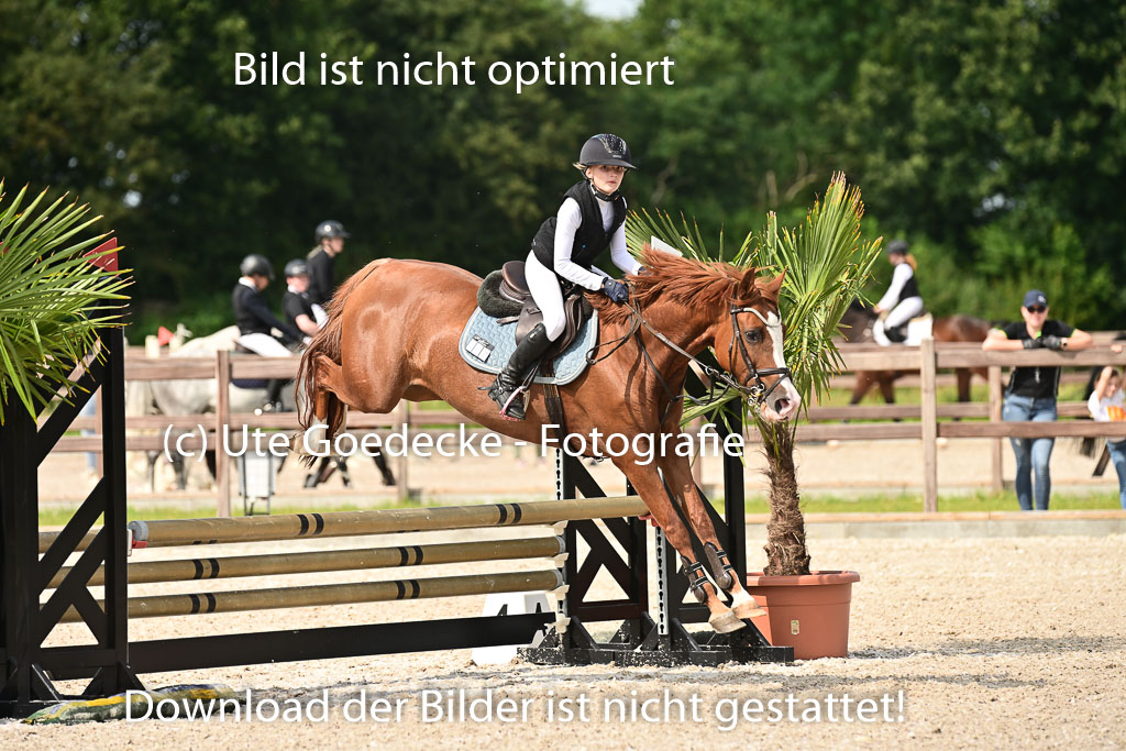 Klein Offenseth  - Hengststation Hell | 26072025 Spring WB  _133 