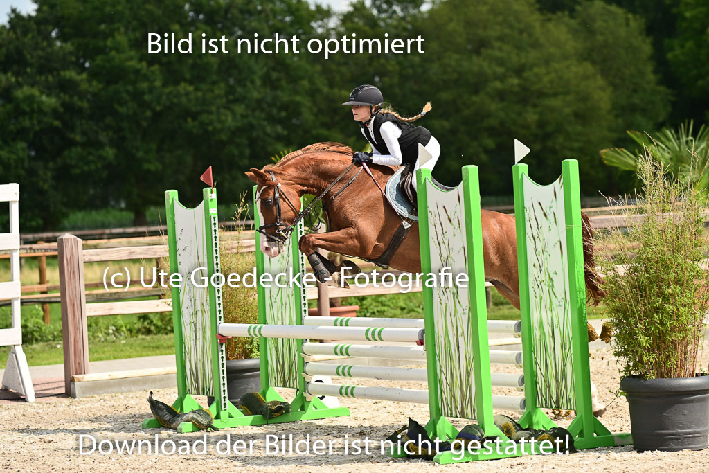 Klein Offenseth  - Hengststation Hell | 26072025 Spring WB  _135 