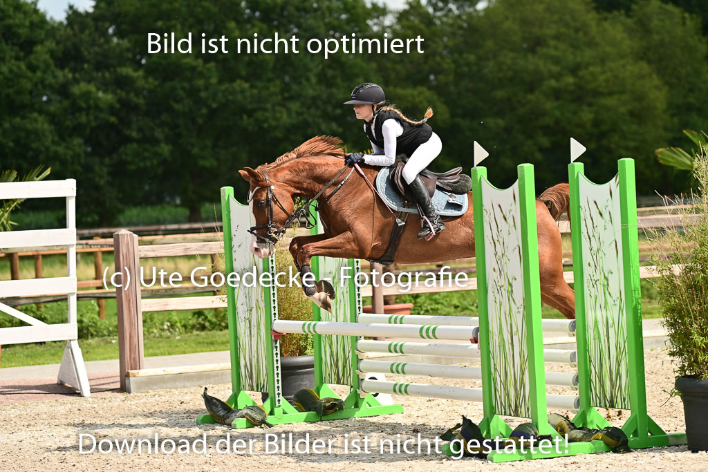 Klein Offenseth  - Hengststation Hell | 26072025 Spring WB  _136 