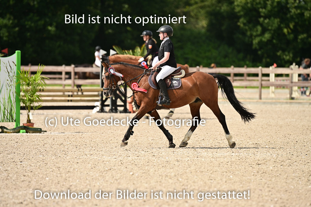 Klein Offenseth - Hengststation Hell | 26072025 Spring WB _153
