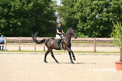 Klein Offenseth  - Hengststation Hell | 26072025 Spring WB  _015 