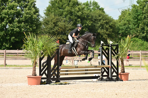 Klein Offenseth  - Hengststation Hell | 26072025 Spring WB  _016 