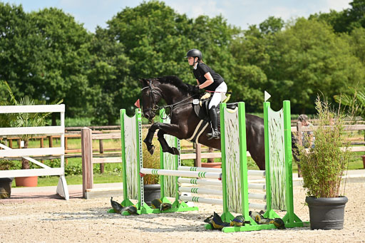 Klein Offenseth  - Hengststation Hell | 26072025 Spring WB  _018 