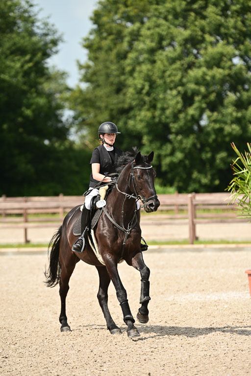 Klein Offenseth  - Hengststation Hell | 26072025 Spring WB  _019 