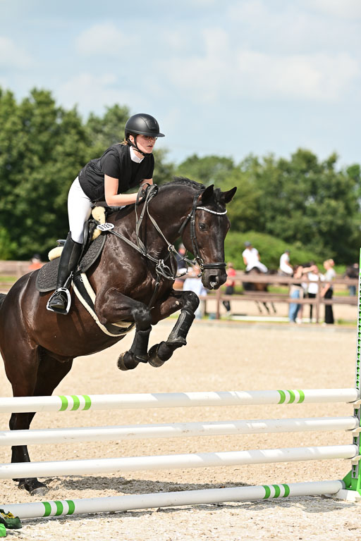 Klein Offenseth  - Hengststation Hell | 26072025 Spring WB  _020 