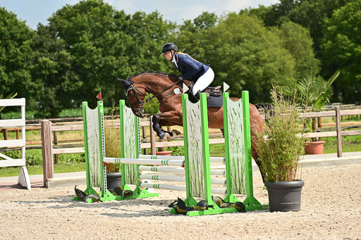 Klein Offenseth  - Hengststation Hell | 26072025 Spring WB  _025 