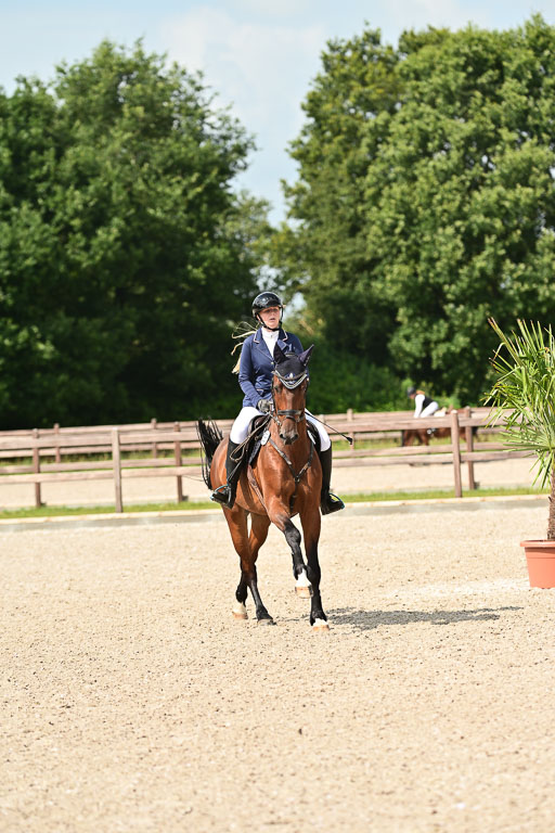 Klein Offenseth  - Hengststation Hell | 26072025 Spring WB  _026 