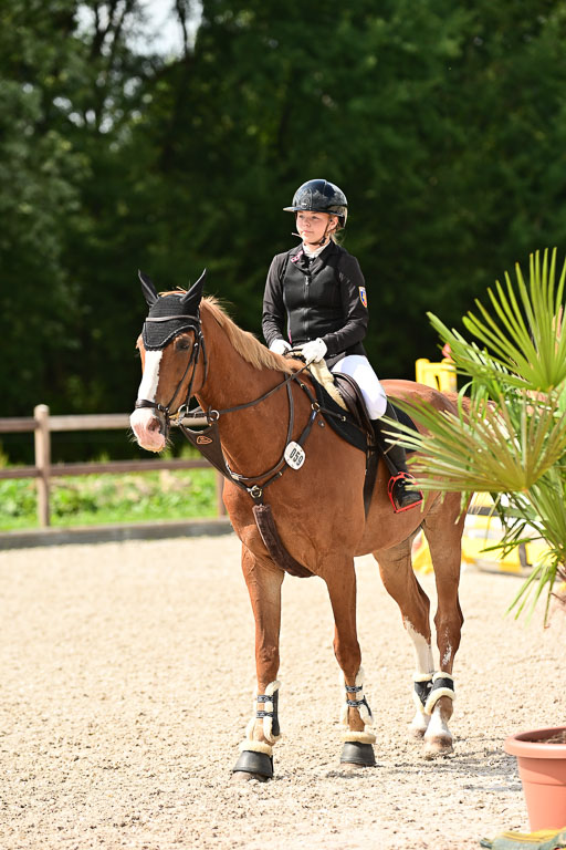 Klein Offenseth  - Hengststation Hell | 26072025 Spring WB  _027 