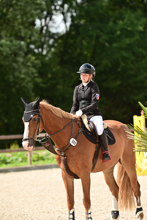 Klein Offenseth  - Hengststation Hell | 26072025 Spring WB  _028 