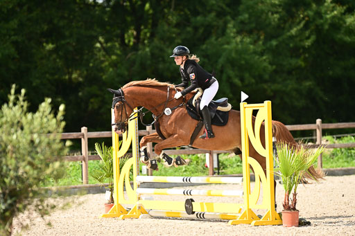 Klein Offenseth  - Hengststation Hell | 26072025 Spring WB  _029 