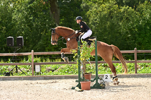 Klein Offenseth  - Hengststation Hell | 26072025 Spring WB  _030 