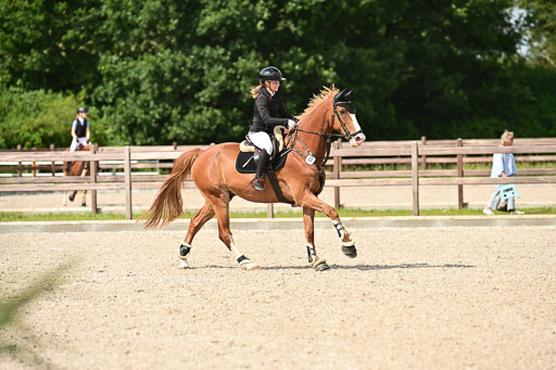 Klein Offenseth  - Hengststation Hell | 26072025 Spring WB  _031 