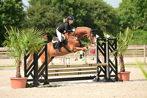 Klein Offenseth  - Hengststation Hell | 26072025 Spring WB  _033 