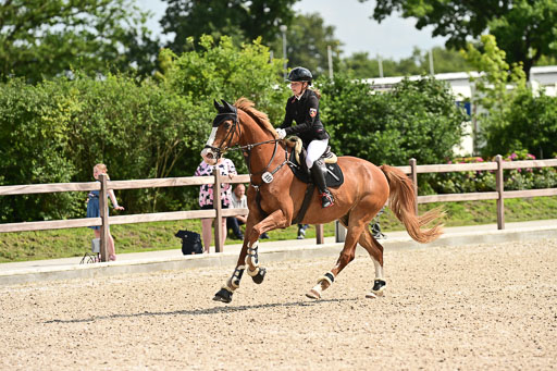 Klein Offenseth  - Hengststation Hell | 26072025 Spring WB  _035 