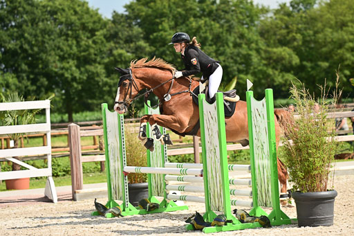 Klein Offenseth  - Hengststation Hell | 26072025 Spring WB  _036 