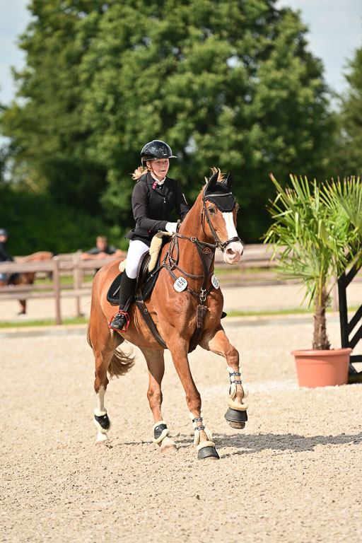 Klein Offenseth  - Hengststation Hell | 26072025 Spring WB  _037 