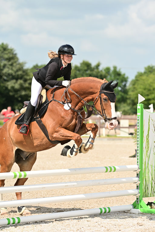 Klein Offenseth  - Hengststation Hell | 26072025 Spring WB  _038 