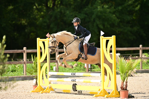 Klein Offenseth  - Hengststation Hell | 26072025 Spring WB  _039 