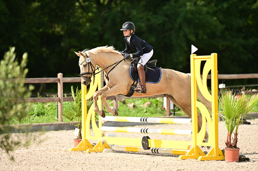 Klein Offenseth  - Hengststation Hell | 26072025 Spring WB  _040 