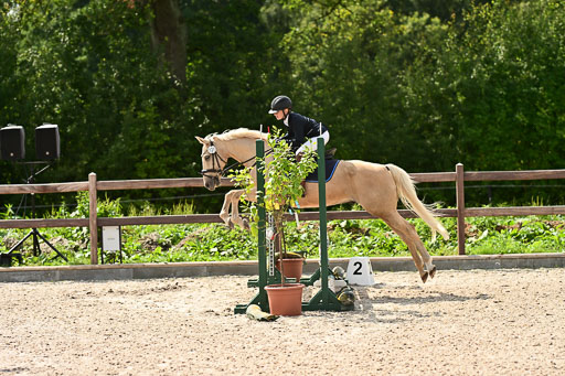 Klein Offenseth  - Hengststation Hell | 26072025 Spring WB  _041 