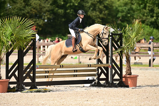 Klein Offenseth  - Hengststation Hell | 26072025 Spring WB  _043 