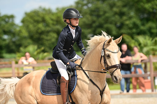 Klein Offenseth  - Hengststation Hell | 26072025 Spring WB  _044 