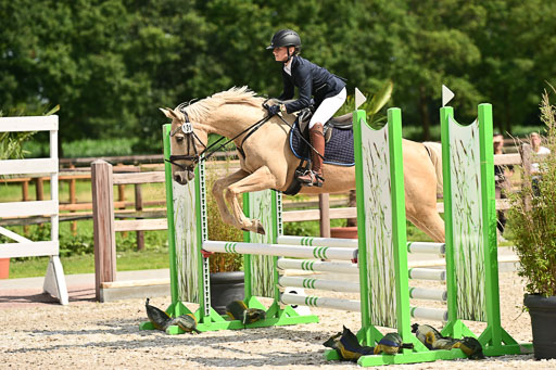 Klein Offenseth  - Hengststation Hell | 26072025 Spring WB  _045 