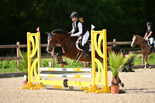 Klein Offenseth  - Hengststation Hell | 26072025 Spring WB  _047 