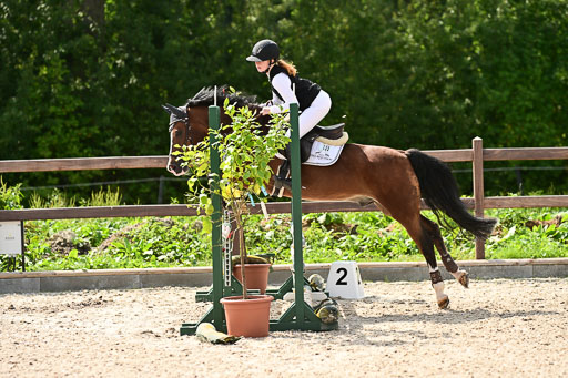 Klein Offenseth  - Hengststation Hell | 26072025 Spring WB  _048 