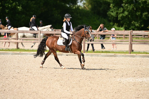 Klein Offenseth  - Hengststation Hell | 26072025 Spring WB  _050 