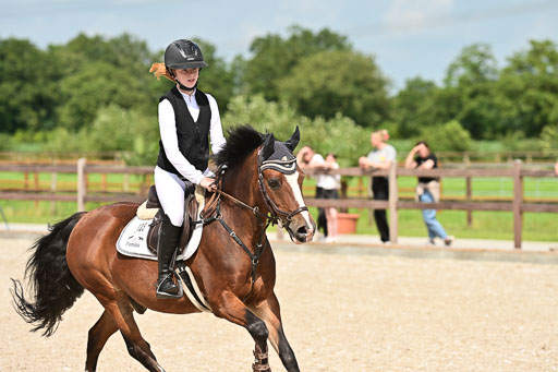 Klein Offenseth  - Hengststation Hell | 26072025 Spring WB  _052 