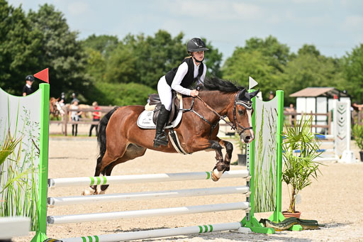 Klein Offenseth  - Hengststation Hell | 26072025 Spring WB  _055 