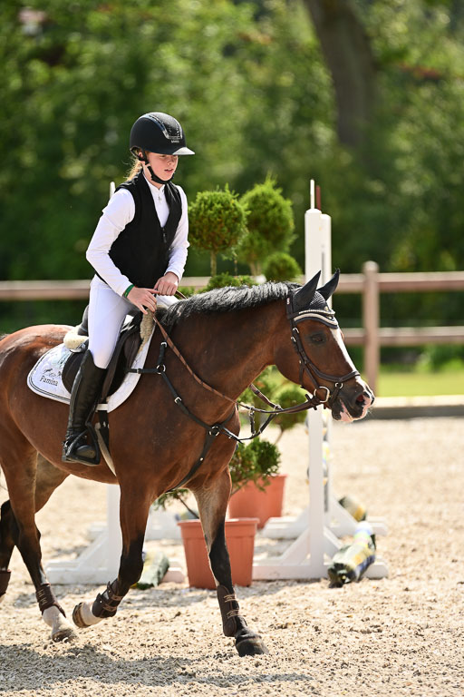 Klein Offenseth  - Hengststation Hell | 26072025 Spring WB  _057 