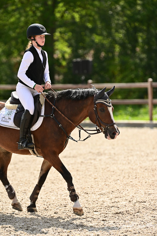 Klein Offenseth  - Hengststation Hell | 26072025 Spring WB  _058 