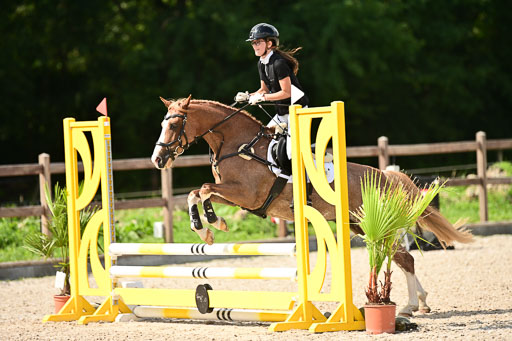 Klein Offenseth  - Hengststation Hell | 26072025 Spring WB  _059 