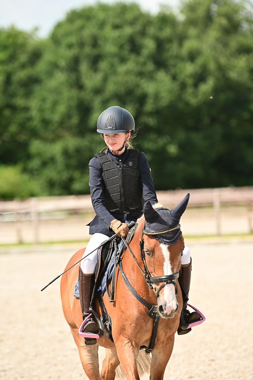 Klein Offenseth  - Hengststation Hell | 26072025 Spring WB  _061 