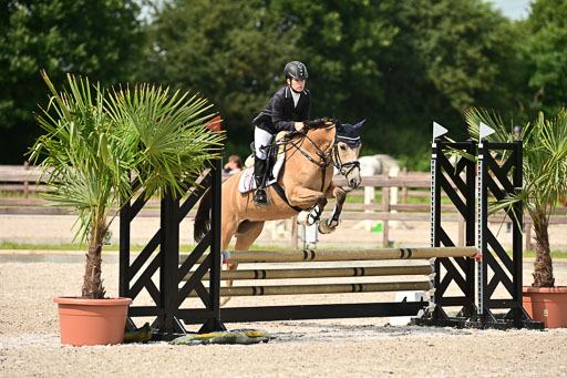 Klein Offenseth  - Hengststation Hell | 26072025 Spring WB  _063 