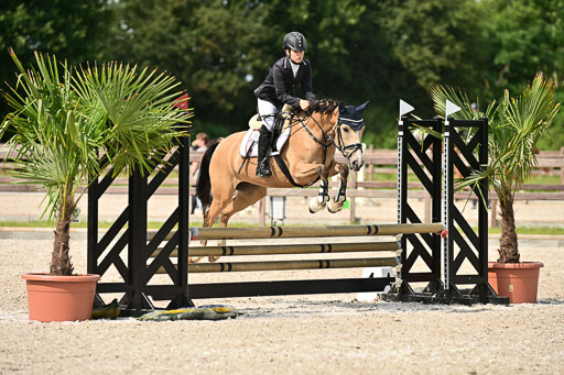 Klein Offenseth  - Hengststation Hell | 26072025 Spring WB  _064 